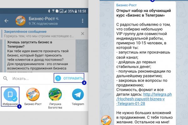 Сайты даркнета