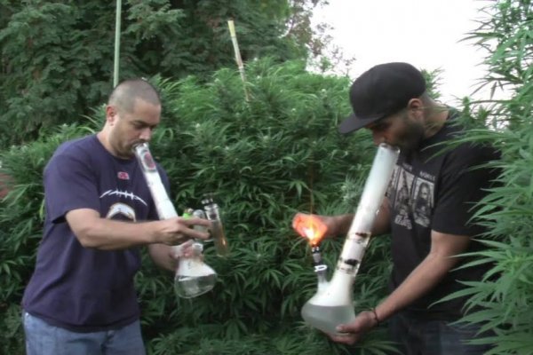 Не могу зайти в кракен