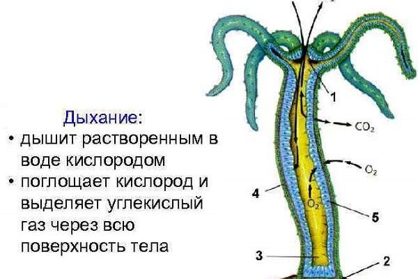 Официальный сайт кракен тор