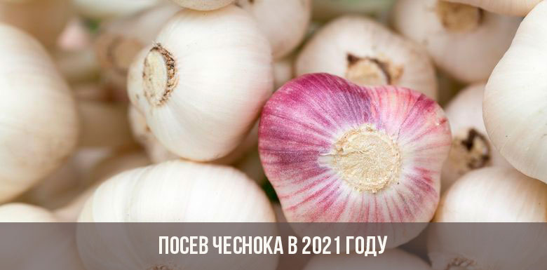 Что продают на кракене