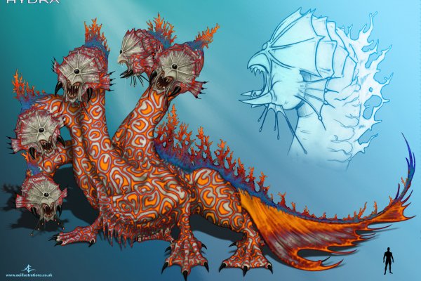 Вывести деньги с кракена